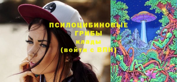бошки Верея