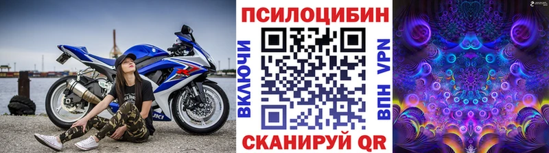 Галлюциногенные грибы прущие грибы  Купить закладки  Спасск-Рязанский 